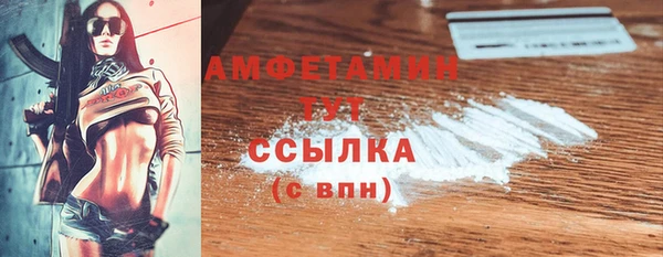 гидра Касимов