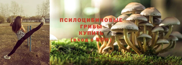 хмурый Балабаново
