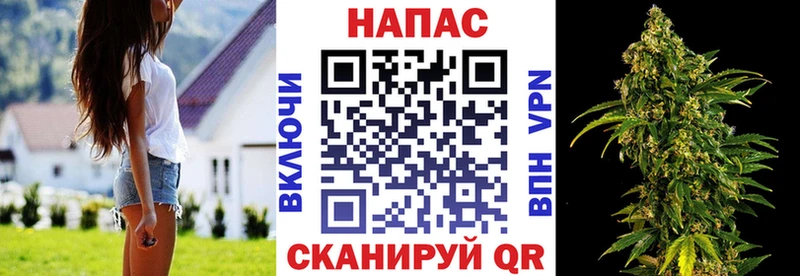 Канабис Bruce Banner  Грайворон 